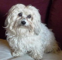 Anouk